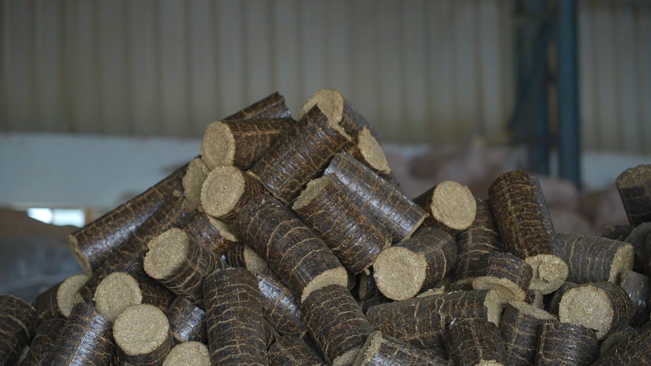 Bio Briquettes